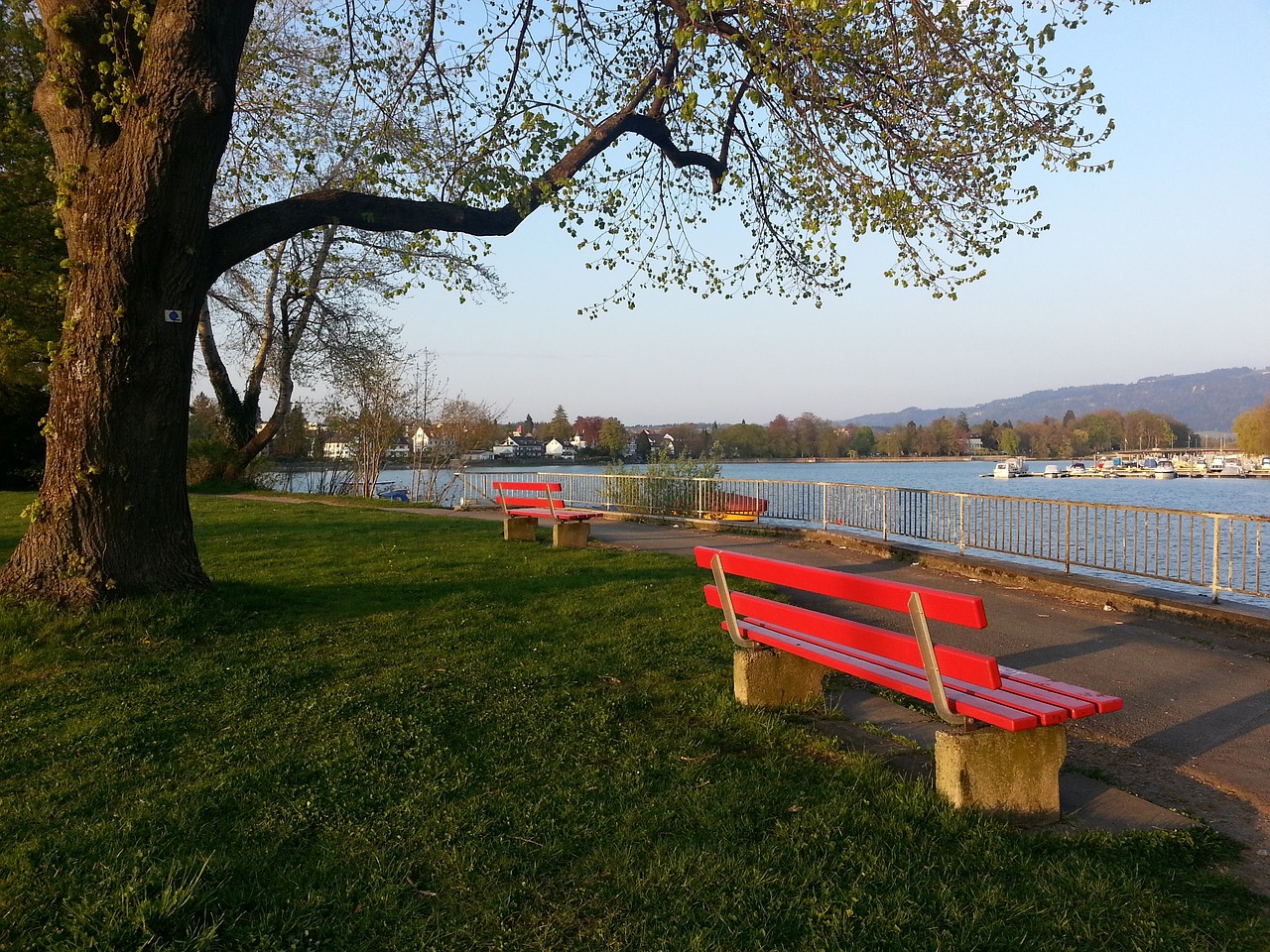 媒体人：山东泰山新赛季教练配置计划是韩鹏+外籍助教