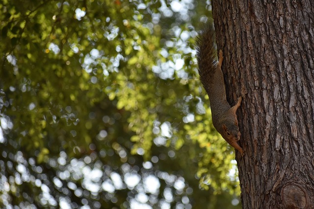 川超联赛首次出现熔断，成都66分钟8-0巴中直接结束比赛