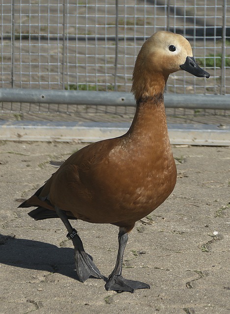 尤其是在对