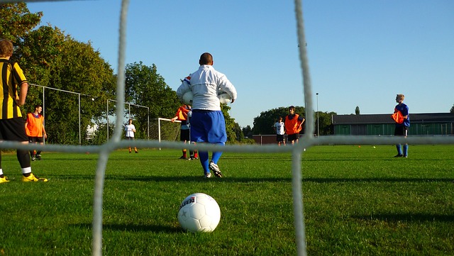 五屆世界杯 五屆世界杯