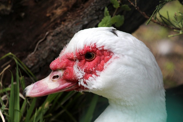 我们可以将 我们可以将