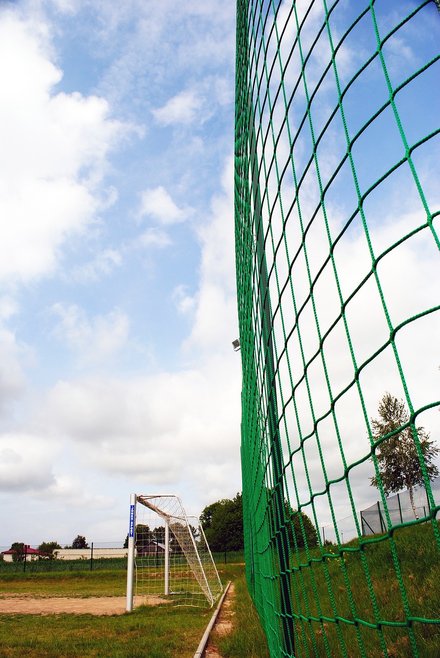 加丰富的季 加丰富的季