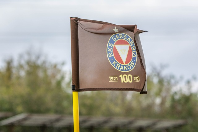 萊萬多夫斯 萊萬多夫斯