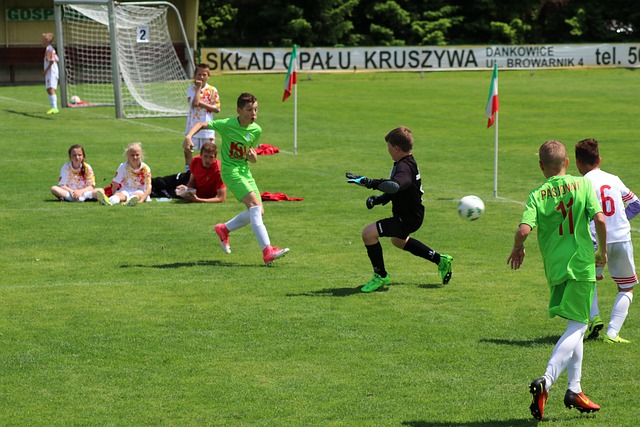 南美预选赛 南美预选赛