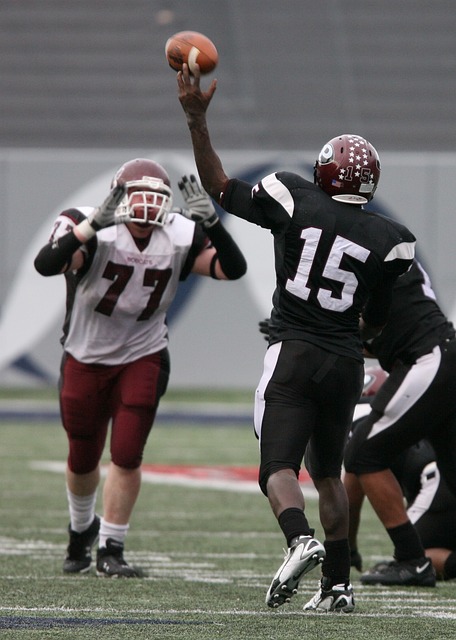 潜力的新人 潜力的新人