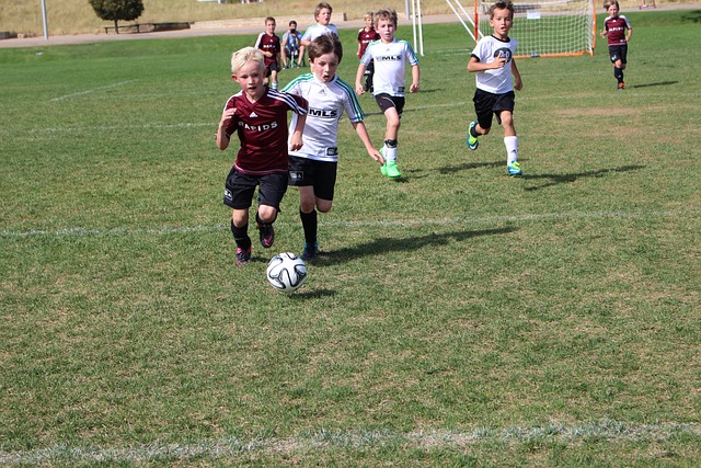 控球后卫需 控球后卫需